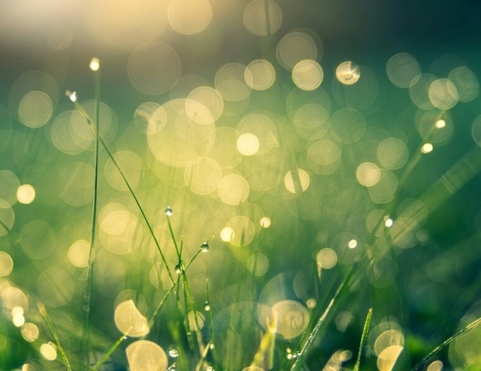 Программа помощи больным с заболеваниями нервной системы - Учебно-оздоровительный центр «Икша»