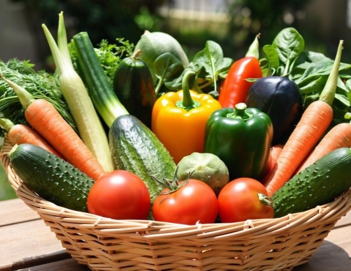 Оздоровительная программа «Детокс» - Учебно-оздоровительный центр «Икша»