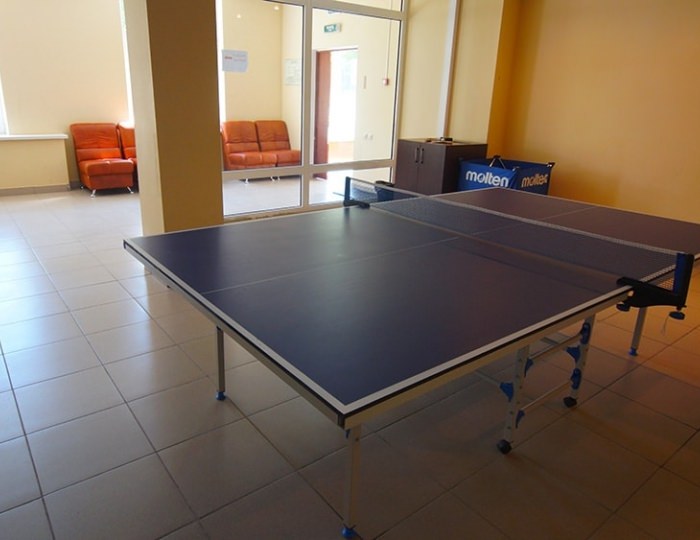 Настольный теннис - Учебно-оздоровительный центр «Икша»